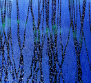 Carolyn Marks Blackwood