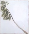 Lucas Reiner
